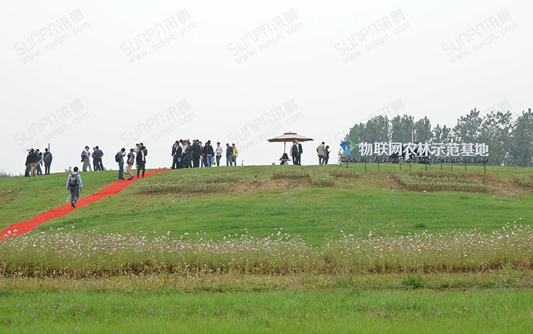 CLAA應(yīng)用示范基地.jpg CLAA應(yīng)用示范基地.jpg