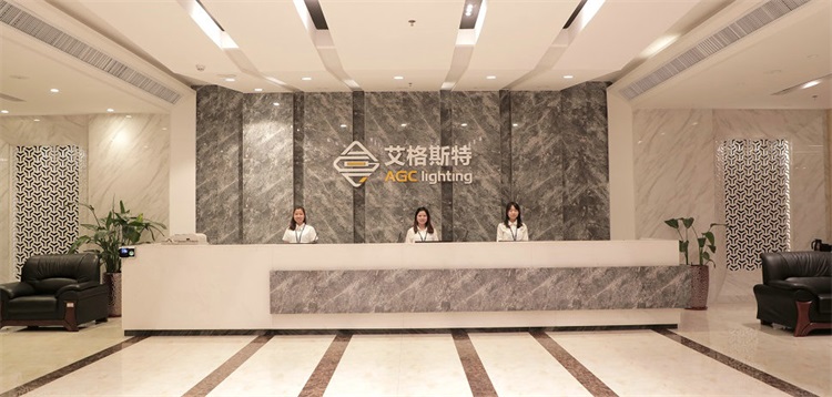 深圳市艾格斯特科技有限公司 深圳市艾格斯特科技有限公司